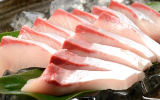 女川温泉華夕美の三陸海鮮料理 魚介海鮮食材 鰤 ぶり ブリ