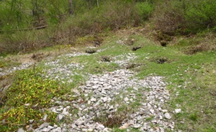 天童市 ジャガラモガラ