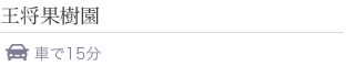 天童市 王将果樹園