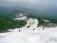 ���R�Q�����f