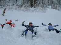 ��{�؃u�i�R�[�X