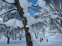 �u�i�����уR�[�X