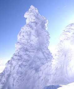 �������C�U���[���h