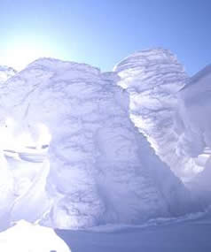 �������C�U���[���h�ւ悤����