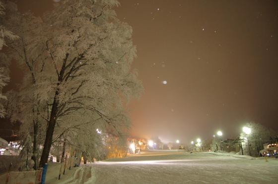 ��̑�Ɖ��q�Q�����f�̃i�C�^�[